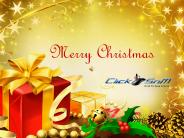 Online Coupons for Christmas Decorations