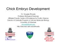 Chick Embryo Development