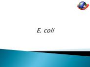 E. coli