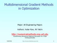 Multidimensional Gradient Methods in Optimization