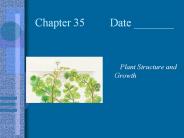 Chapter 35     Date _______
