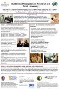 Sustaining Undergraduate Research at a Small University PowerPoint PPT Presentation