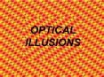 OPTICAL ILLUSIONS PowerPoint PPT Presentation