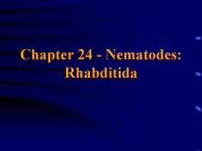 Chapter 24 - Nematodes: Rhabditida