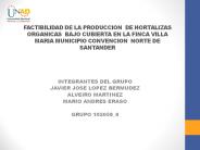 Trabajo final Diseño de Proyectos
