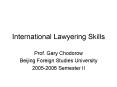 International Lawyering Skills PowerPoint PPT Presentation