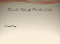 Maple Syrup Production PowerPoint PPT Presentation