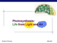 Photosynthesis: Life from Light and Air