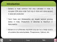 Banana is most common fruit crop cultivated in India. It occupies 20% area under fruit crop in India and ranks second in area and production. PowerPoint PPT Presentation