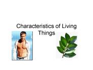 Characteristics of Living Things