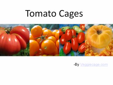 Get Fruitful Garden Using Tomato Cages