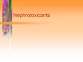 Nephrotoxicants PowerPoint PPT Presentation