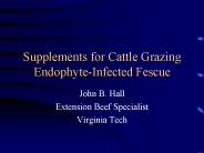 Supplements for Cattle Grazing Endophyte-Infected Fescue