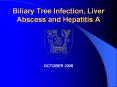 Biliary%20Tree%20Infection,%20Liver%20Abscess%20and%20Hepatitis%20A PowerPoint PPT Presentation