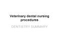 Veterinary dental nursing procedures PowerPoint PPT Presentation