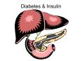 Diabetes PowerPoint PPT Presentation