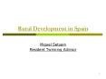 Rural Development in Spain PowerPoint PPT Presentation