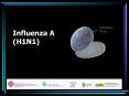 Influenza A (H1N1) PowerPoint PPT Presentation