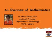 Deworming in Animal