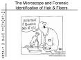 The Microscope and Forensic Identification of Hair PowerPoint PPT Presentation