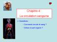 Chapitre 4 : PowerPoint PPT Presentation