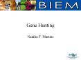 Gene Hunting PowerPoint PPT Presentation