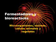 Fermentadores y bioreactores