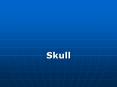 Skull PowerPoint PPT Presentation
