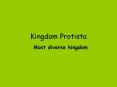 Kingdom Protista PowerPoint PPT Presentation