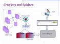 Crawlers and Spiders PowerPoint PPT Presentation