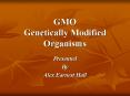 GMO Genetically Modified Organisms PowerPoint PPT Presentation