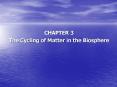 The Cycling of Matter in the Biosphere PowerPoint PPT Presentation