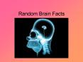 Random Brain Facts PowerPoint PPT Presentation