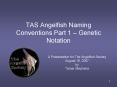 TAS Angelfish Naming Conventions Part 1  PowerPoint PPT Presentation