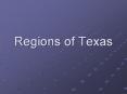 Regions of Texas PowerPoint PPT Presentation
