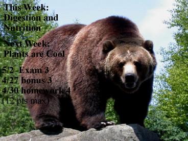 This Week: Digestion and Nutrition