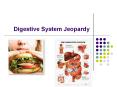 Digestive System Jeopardy PowerPoint PPT Presentation