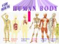 Human Body PowerPoint PPT Presentation