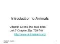 Introduction to Animals PowerPoint PPT Presentation