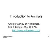 Introduction to Animals