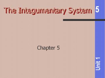 The Integumentary System