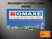 omaxe plots in mullanpur