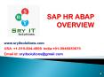 HR_ ABAP ONLINE TRAINING PowerPoint PPT Presentation