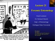 Forensic Entomology