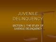 JUVENILE DELINQUENCY PowerPoint PPT Presentation