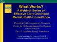 What Works?  A Webinar Series on Effective Early Childhood Mental Health Consultation PowerPoint PPT Presentation