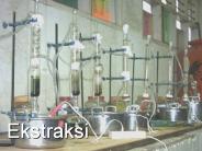 Ekstraksi