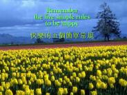 Remember the five simple rules to be happy ?????????