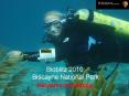 Bioblitz 2010: Biscayne National Park PowerPoint PPT Presentation