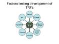 Factors limiting development of TRFs PowerPoint PPT Presentation